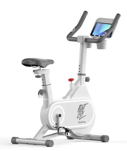 Lifelong -  Fit Pro Spin Fitness Bike