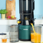 Borosil Vita Rich Slow Juicer