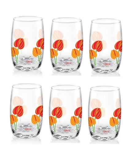 D Ziner Lyon Glass Tumbler (Treo by Milton)