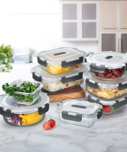 Hi Borosilicate Clip Fresh Container (Treo by Milton)